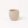 Camelia - Imagen 4